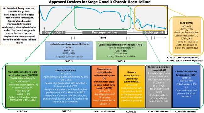 From: HFSA Scientific Statement: Update on Device Based Therapies in Heart Failure, ESTEP, JERRY D. et al.,  Journal of Cardiac Failure, 2024